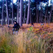 À Brocéliande, en son 3D