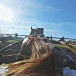 Le Trot à 360