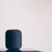 Un test de QI des assistants vocaux